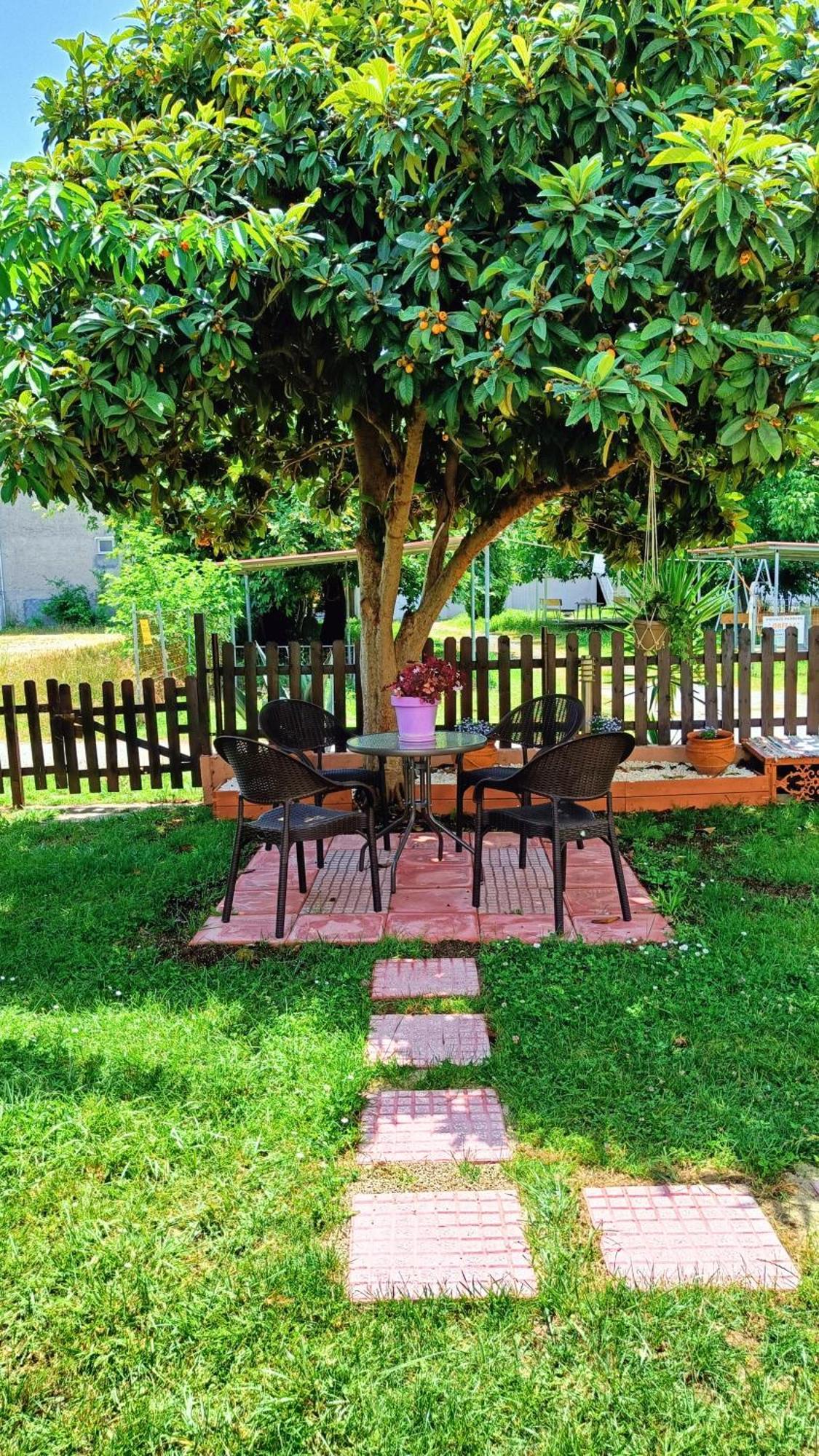 Aparthotel Garden House Katerina Leptokaryá Exterior foto